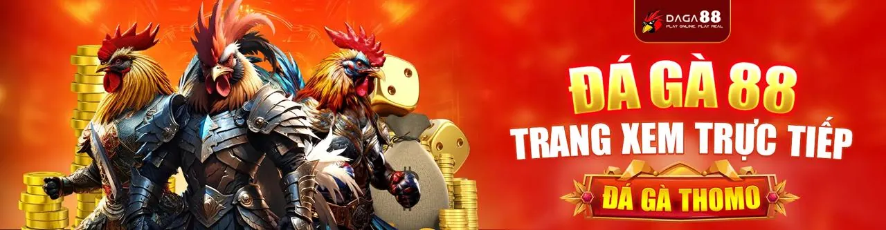 Câu hỏi thường gặp về khuyến mãi 456win code