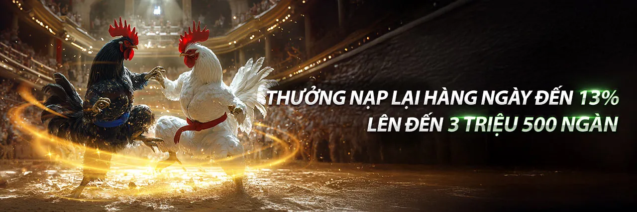 Tin tức 456win code mới nhất với các ưu đãi và cập nhật game